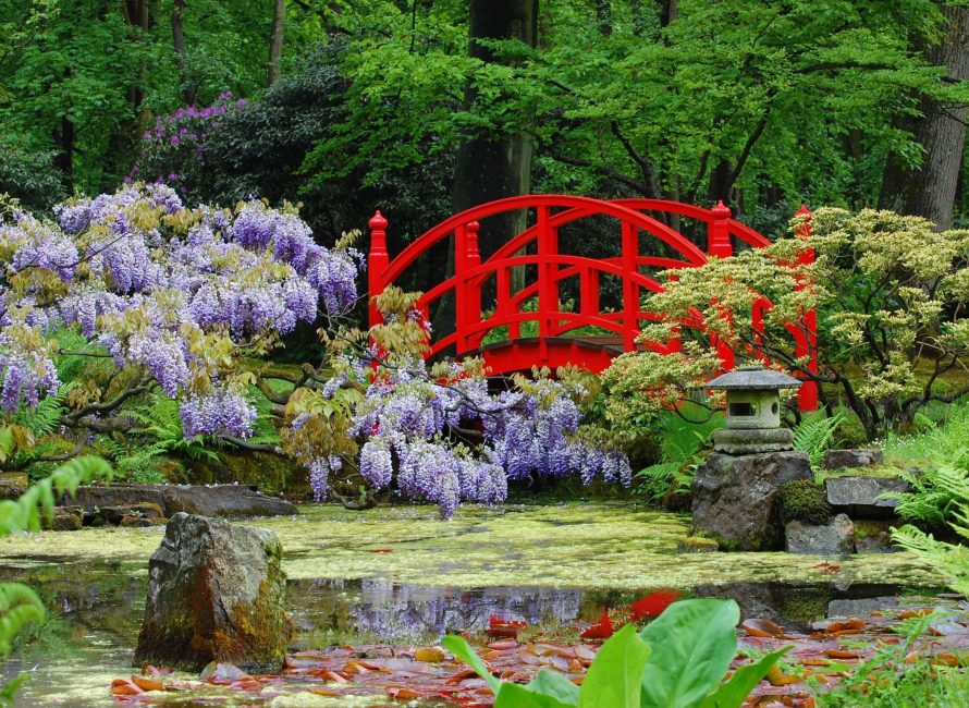 Τα λουλούδια Sakura αντιπροσωπεύουν καθαρότητα και ανθεκτικότητα