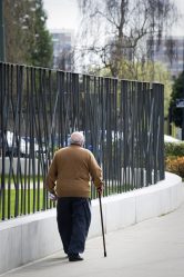 Φράχτης για ένα ιδιωτικό ξύλινο σπίτι: Πώς να επιλέξετε; 200+ (Φωτογραφίες) Όμορφες επιλογές