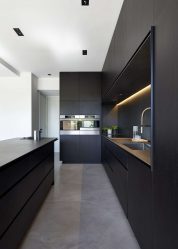 Nuova tendenza nel mondo della cucina - Cucina nera nell'interno (oltre 220 combinazioni di foto nel design)