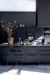 Nuova tendenza nel mondo della cucina - Cucina nera nell'interno (oltre 220 combinazioni di foto nel design)