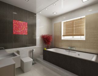 Opzioni di finitura per la tessera del bagno (più di 175 foto). Crea un design che verrà ricordato