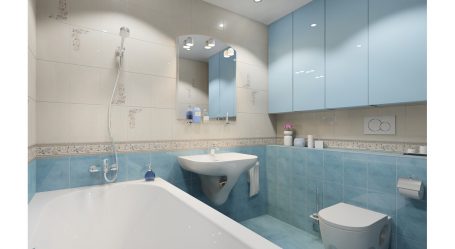 Opzioni di finitura per la tessera del bagno (più di 175 foto). Crea un design che verrà ricordato