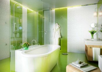 Opzioni di finitura per la tessera del bagno (più di 175 foto). Crea un design che verrà ricordato